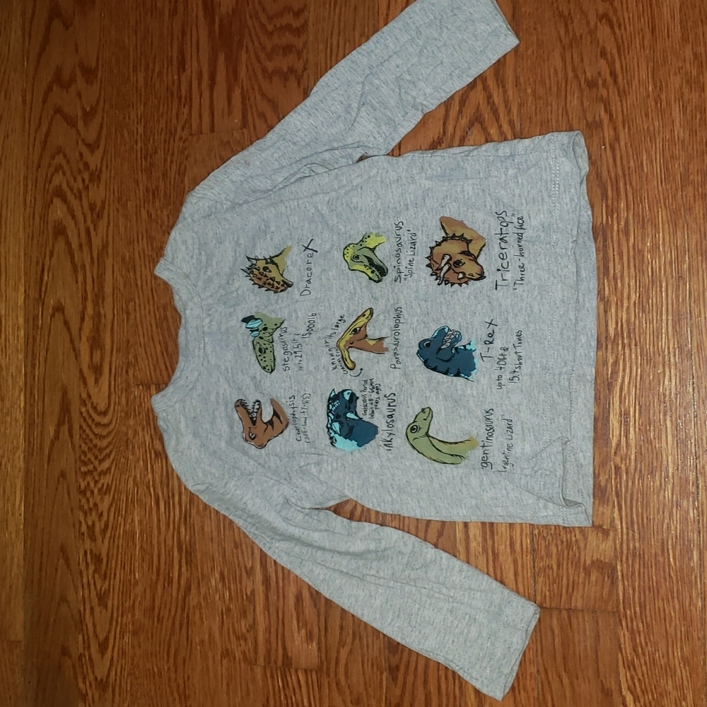 Gap Dinosaurs Tee Size 2